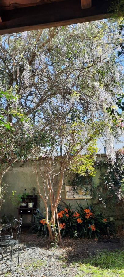 Casa En Barrio Historico Villa Colonia del Sacramento Kültér fotó